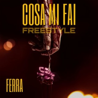 Cosa mi fai (freestyle)