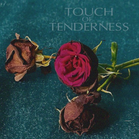 Touch of Tenderness | Boomplay Music