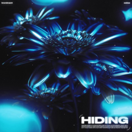 Hiding | Boomplay Music