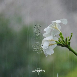 Grain Rain -Guyu-