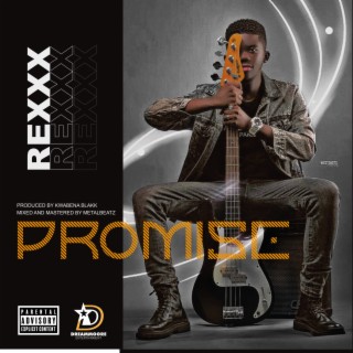 PROMISE lyrics | Boomplay Music