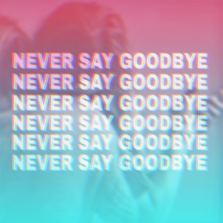 Never Say Goodbye