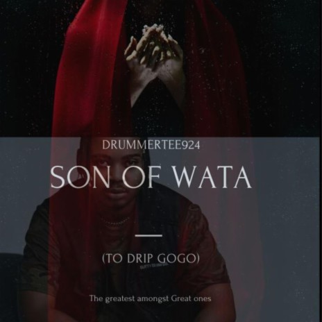 Son Of Wata (To Drip Gogo) | Boomplay Music