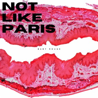 Not Like Paris lyrics | Boomplay Music
