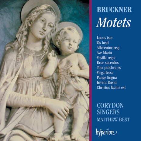 Bruckner: Tota pulchra es, WAB 46 ft. Matthew Best, Philip Salmon & Thomas Trotter | Boomplay Music