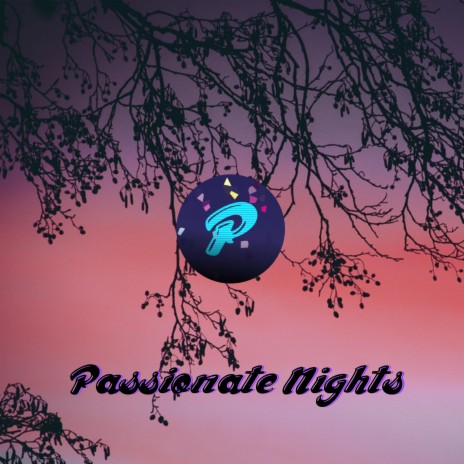 Passionate Nights (Instrumental)