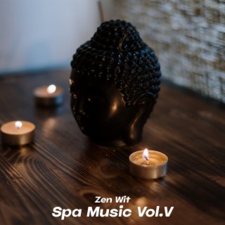 Spa Music, Vol. V