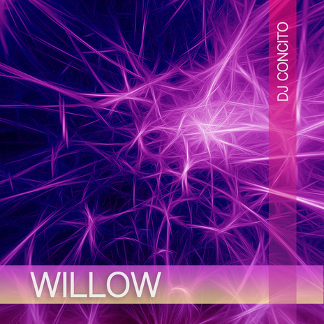 Willow | Boomplay Music