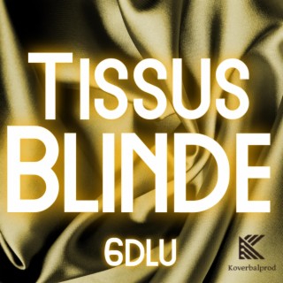 TISSUS BLINDE