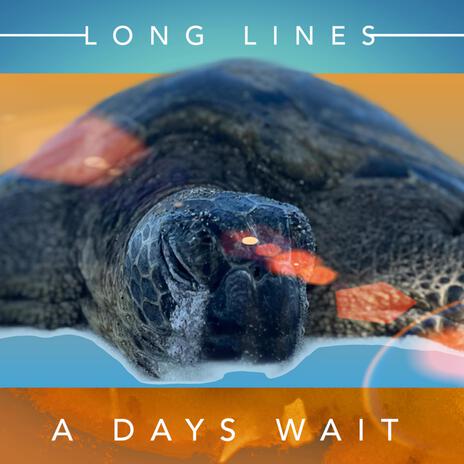 Long Lines | Boomplay Music