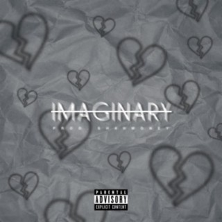 Imaginary