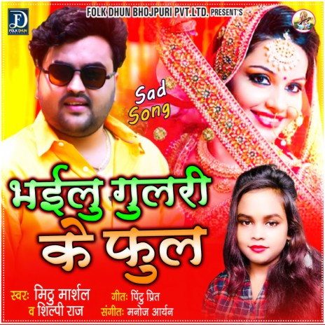 Bhailu Gulari Ke Phool ft. Shilpi Raj | Boomplay Music