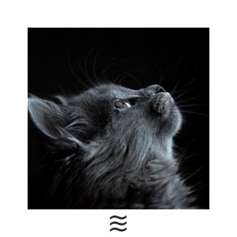 Soft Noises for Cats Sleep | Boomplay Music
