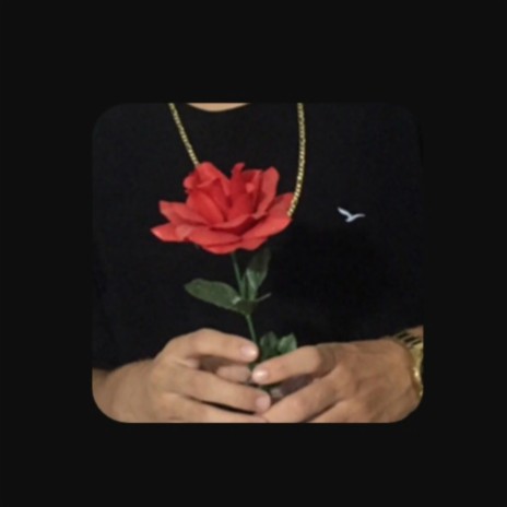 Rosa | Boomplay Music