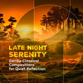 Late Night Serenity - Gentle Classical Compositions for Quiet Reflection