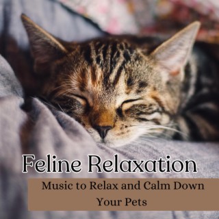 Feline Relaxation (Music to Relax and Calm Down Your Pets)