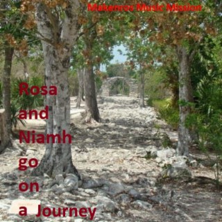 Rosa and Niamh go on a Journey