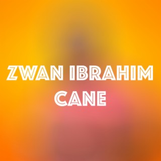 Zwan Ibrahim