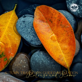 Autumn Transition Guided Meditation: Release and Renew, Meditation for Autumn 2022, Calming Autumn Music for Healing Meditation, Autumn Nature Sounds, Autumn Nature Meditation