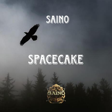 spacecake | Boomplay Music