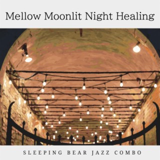 Mellow Moonlit Night Healing