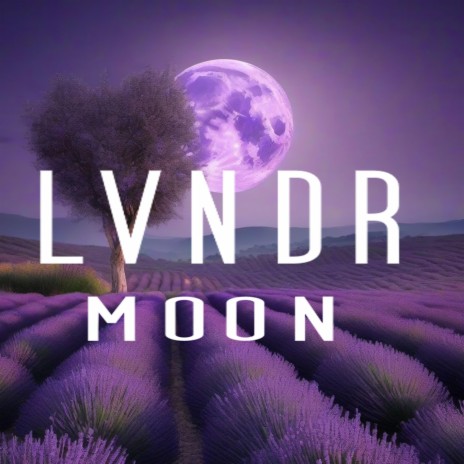 LVNDR moon | Boomplay Music