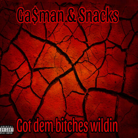 Got dem bitches wildin | Boomplay Music