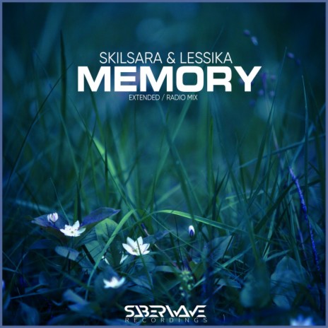 Memory (Extended mix) ft. Skilsara