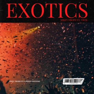 Exotics ft. Jreedsknocking lyrics | Boomplay Music