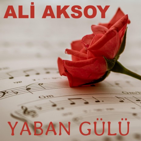 Yaban Gülü | Boomplay Music