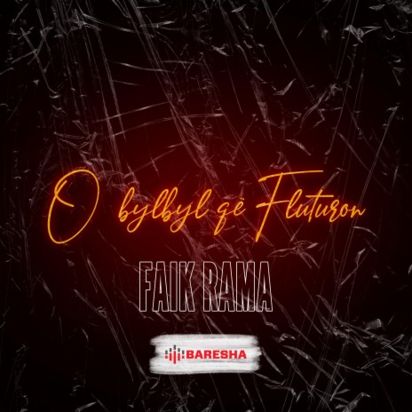 O bylbyl qe fluturon | Boomplay Music