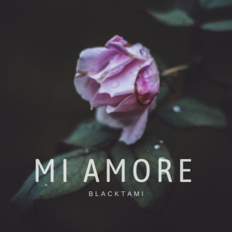 Mi Amore | Boomplay Music