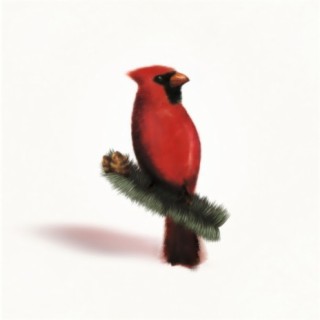 The Christmas Cardinal Album