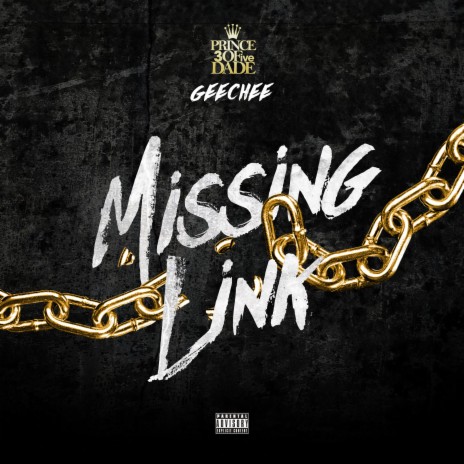 Missing Link | Boomplay Music