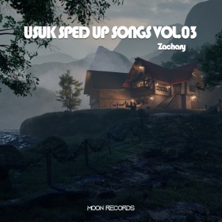 USUK SPED UP SONGS VOL.03