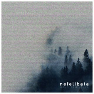 Nefelibata