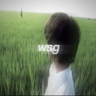 wsg lyrics | Boomplay Music
