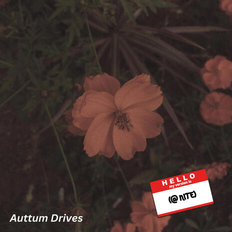 Auttum Drives | Boomplay Music