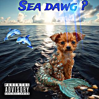 Sea dawg ?