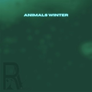 Animals Winter