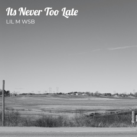 It's Never Too Late ft. Lil Brown & K9ine | Boomplay Music
