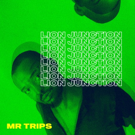 Lion Junction | Boomplay Music