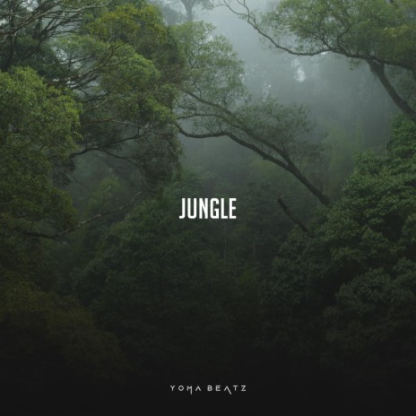 Jungle | Boomplay Music