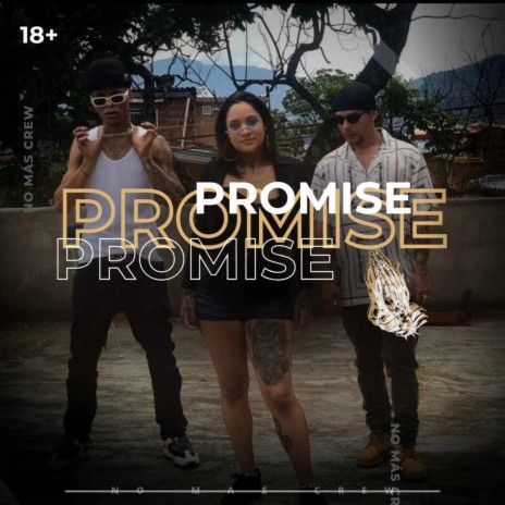 PROMISE ft. Ale Fox & TAY | Boomplay Music