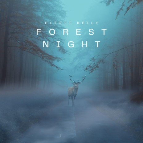 Forest Night | Boomplay Music