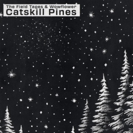 Catskill Pines ft. wowflower | Boomplay Music