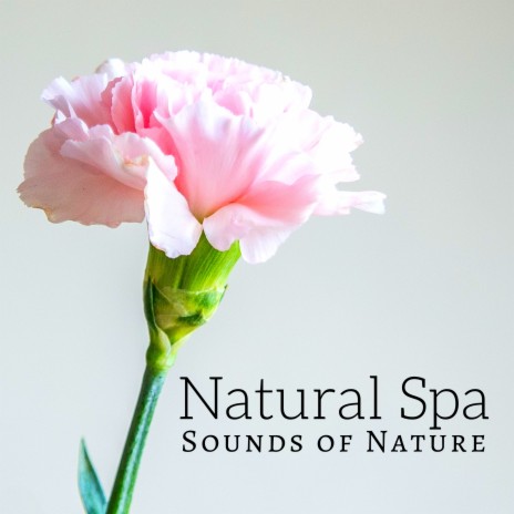 Nature Sounds | Boomplay Music