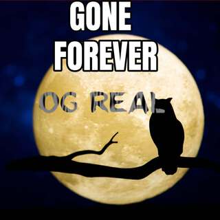 Gone Forever