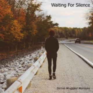 Waiting for Silence