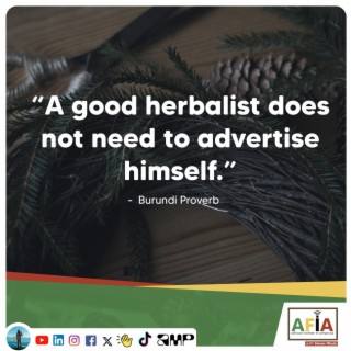 What can you learn from a Burundian herbalist? | African Proverbs | AFIAPodcast
